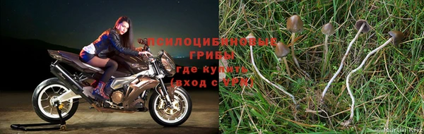 метадон Аркадак