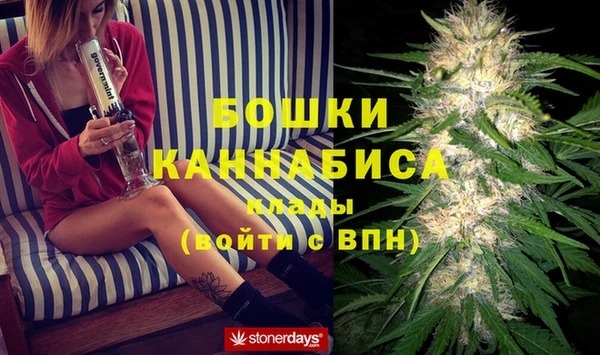 спайс Арсеньев