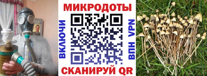 Псилоцибиновые грибы мицелий  Спас-Деменск 